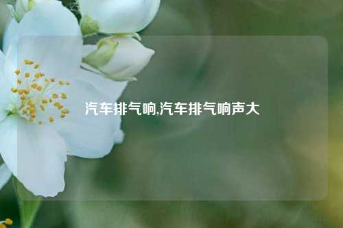 汽车排气响,汽车排气响声大