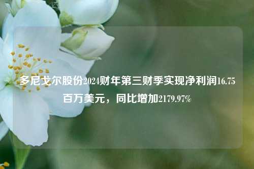 多尼戈尔股份2024财年第三财季实现净利润16.75百万美元，同比增加2179.97%