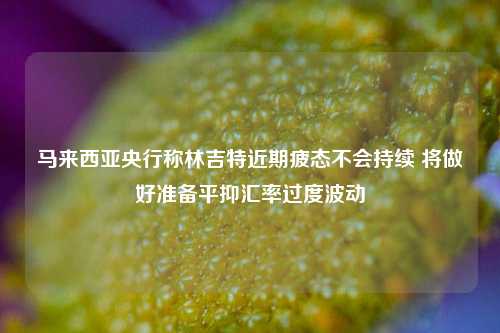 马来西亚央行称林吉特近期疲态不会持续 将做好准备平抑汇率过度波动