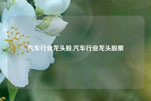 汽车行业龙头股,汽车行业龙头股票