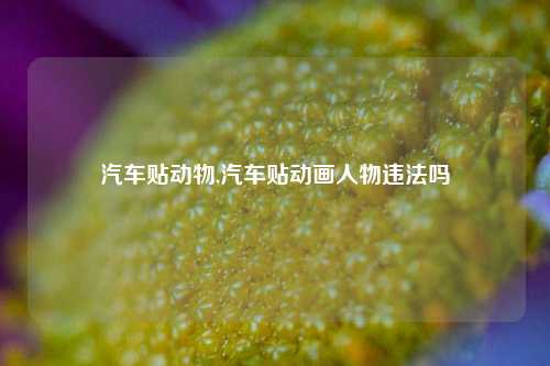 汽车贴动物,汽车贴动画人物违法吗