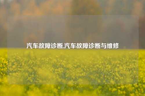 汽车故障诊断,汽车故障诊断与维修