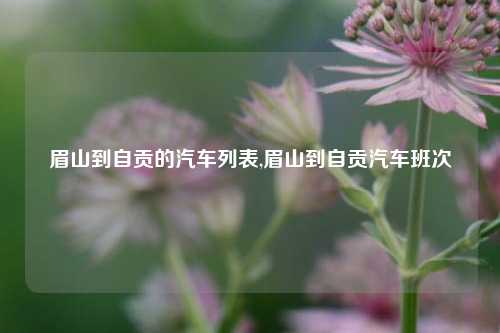 眉山到自贡的汽车列表,眉山到自贡汽车班次