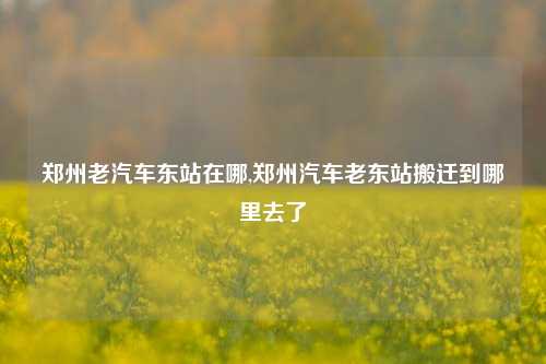 郑州老汽车东站在哪,郑州汽车老东站搬迁到哪里去了