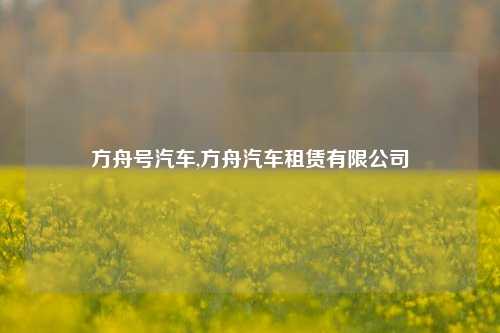 方舟号汽车,方舟汽车租赁有限公司