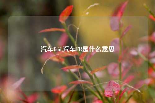 汽车frid,汽车FR是什么意思