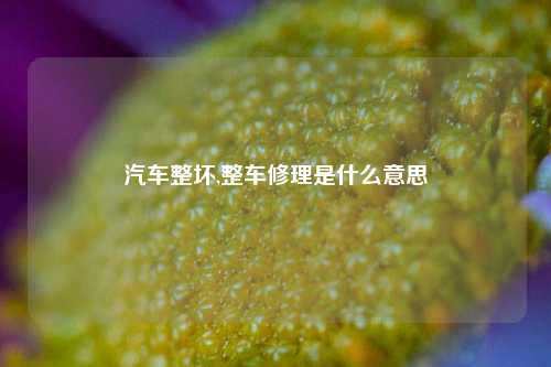 汽车整坏,整车修理是什么意思