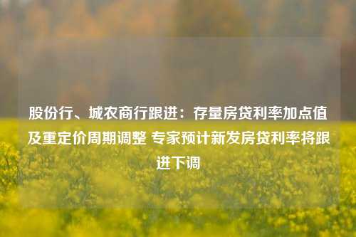 股份行、城农商行跟进：存量房贷利率加点值及重定价周期调整 专家预计新发房贷利率将跟进下调