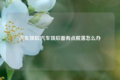 汽车顶后,汽车顶后面有点脱落怎么办