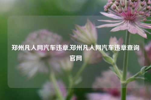 郑州凡人网汽车违章,郑州凡人网汽车违章查询官网