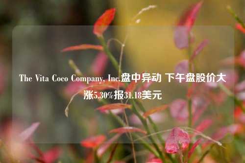 The Vita Coco Company, Inc.盘中异动 下午盘股价大涨5.30%报31.18美元