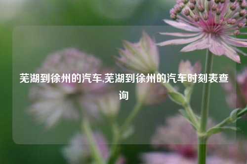 芜湖到徐州的汽车,芜湖到徐州的汽车时刻表查询