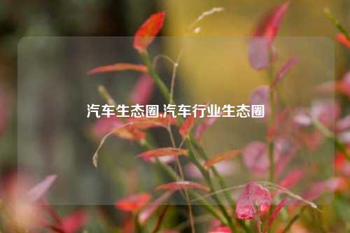 汽车生态圈,汽车行业生态圈