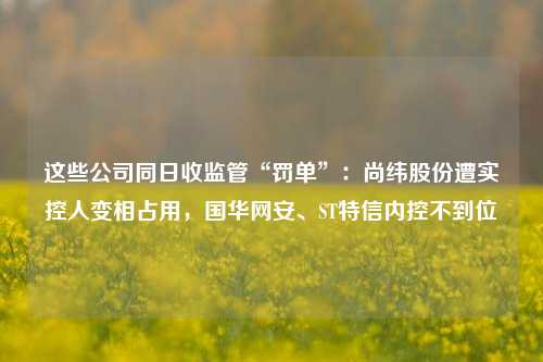 这些公司同日收监管“罚单”：尚纬股份遭实控人变相占用，国华网安、ST特信内控不到位