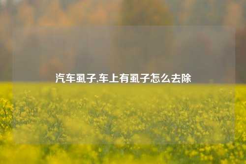 汽车虱子,车上有虱子怎么去除