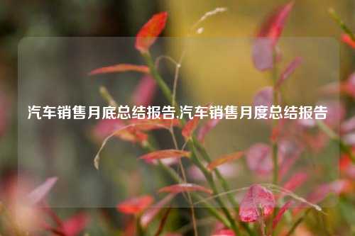 汽车销售月底总结报告,汽车销售月度总结报告