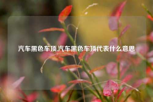 汽车黑色车顶,汽车黑色车顶代表什么意思