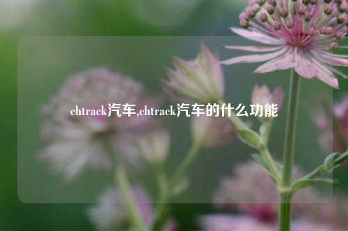 chtrack汽车,chtrack汽车的什么功能