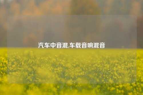 汽车中音混,车载音响混音