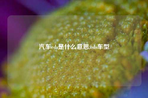 汽车eds是什么意思,eds车型