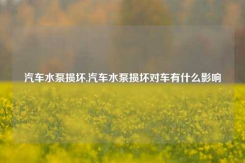 汽车水泵损坏,汽车水泵损坏对车有什么影响