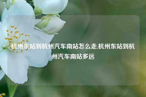 杭州东站到杭州汽车南站怎么走,杭州东站到杭州汽车南站多远