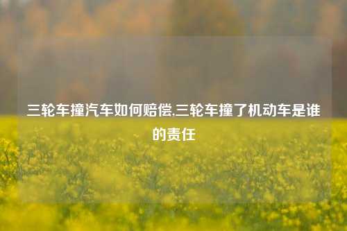 三轮车撞汽车如何赔偿,三轮车撞了机动车是谁的责任