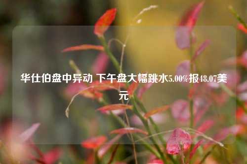 华仕伯盘中异动 下午盘大幅跳水5.00%报48.07美元