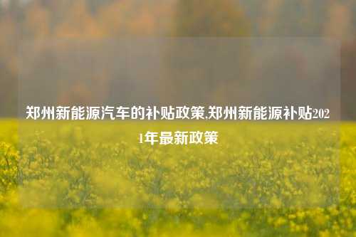 郑州新能源汽车的补贴政策,郑州新能源补贴2021年最新政策