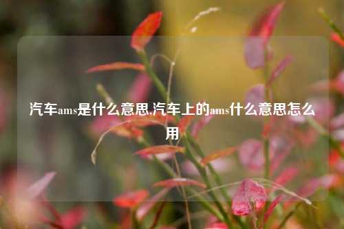 汽车ams是什么意思,汽车上的ams什么意思怎么用