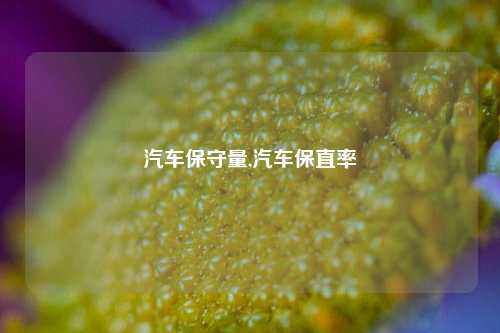 汽车保守量,汽车保直率