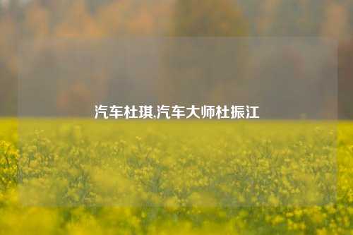 汽车杜琪,汽车大师杜振江