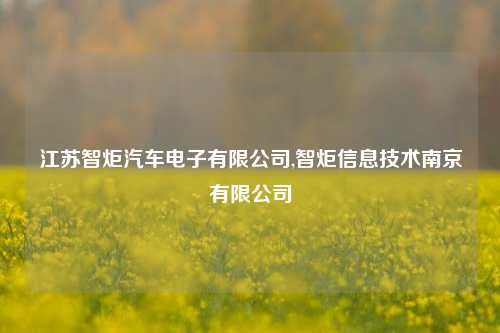 江苏智炬汽车电子有限公司,智炬信息技术南京有限公司