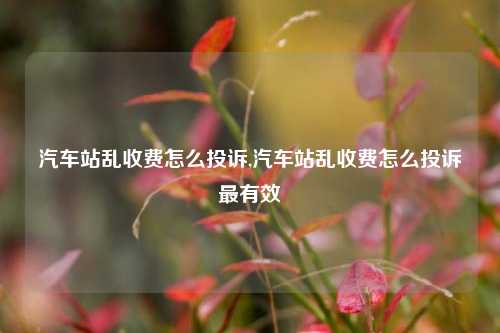 汽车站乱收费怎么投诉,汽车站乱收费怎么投诉最有效