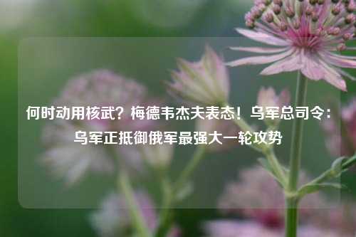 何时动用核武？梅德韦杰夫表态！乌军总司令：乌军正抵御俄军最强大一轮攻势