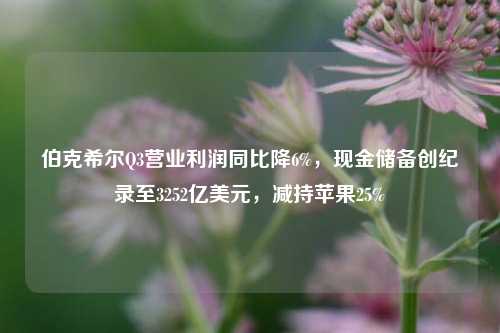 伯克希尔Q3营业利润同比降6%，现金储备创纪录至3252亿美元，减持苹果25%