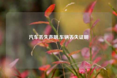 汽车丢失声明,车辆丢失证明