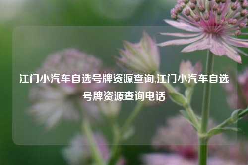 江门小汽车自选号牌资源查询,江门小汽车自选号牌资源查询电话