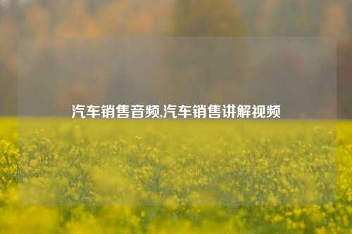 汽车销售音频,汽车销售讲解视频