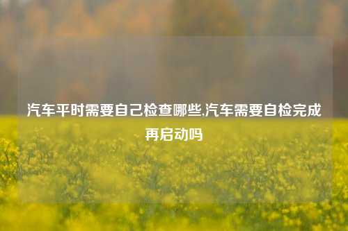 汽车平时需要自己检查哪些,汽车需要自检完成再启动吗