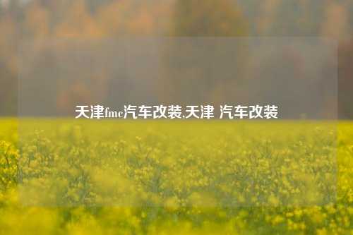 天津fmc汽车改装,天津 汽车改装