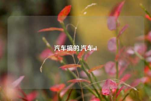 汽车搞的,汽车zl