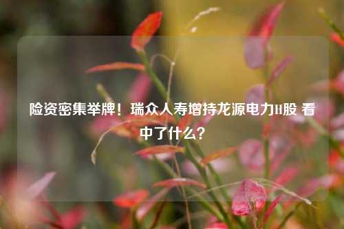 险资密集举牌！瑞众人寿增持龙源电力H股 看中了什么？