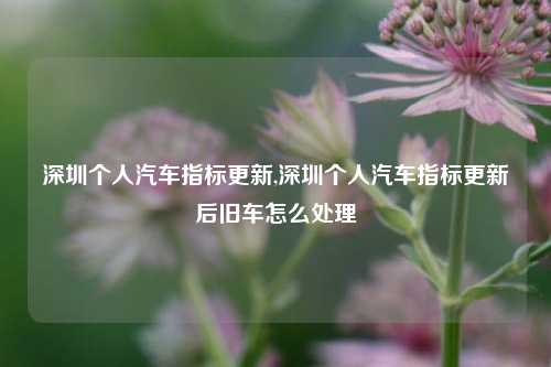 深圳个人汽车指标更新,深圳个人汽车指标更新后旧车怎么处理