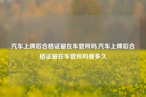 汽车上牌后合格证留在车管所吗,汽车上牌后合格证留在车管所吗要多久