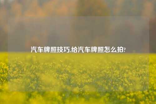 汽车牌照技巧,给汽车牌照怎么拍?