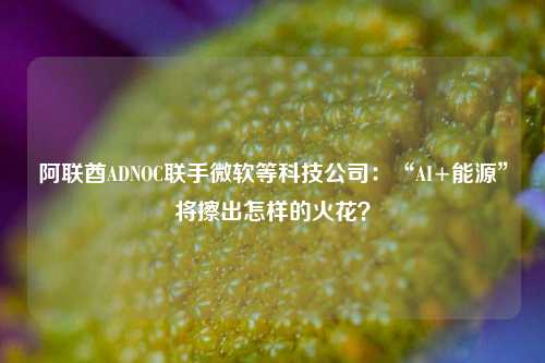 阿联酋ADNOC联手微软等科技公司：“AI+能源”将擦出怎样的火花？