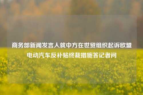 商务部新闻发言人就中方在世贸组织起诉欧盟电动汽车反补贴终裁措施答记者问