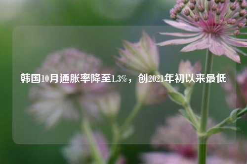 韩国10月通胀率降至1.3%，创2021年初以来最低