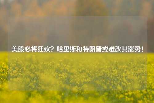 美股必将狂欢？哈里斯和特朗普或难改其涨势！